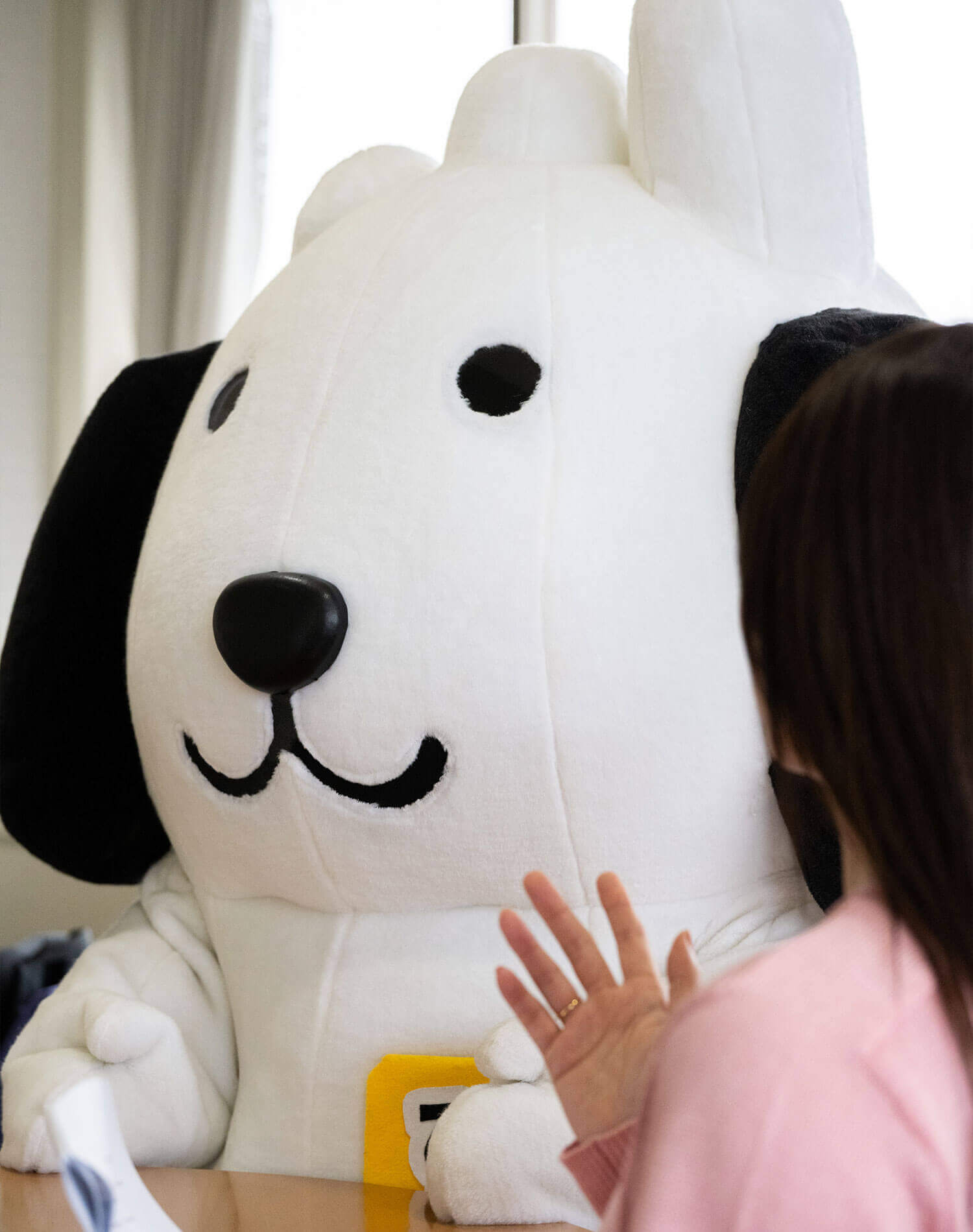 質問に答えるびわけん