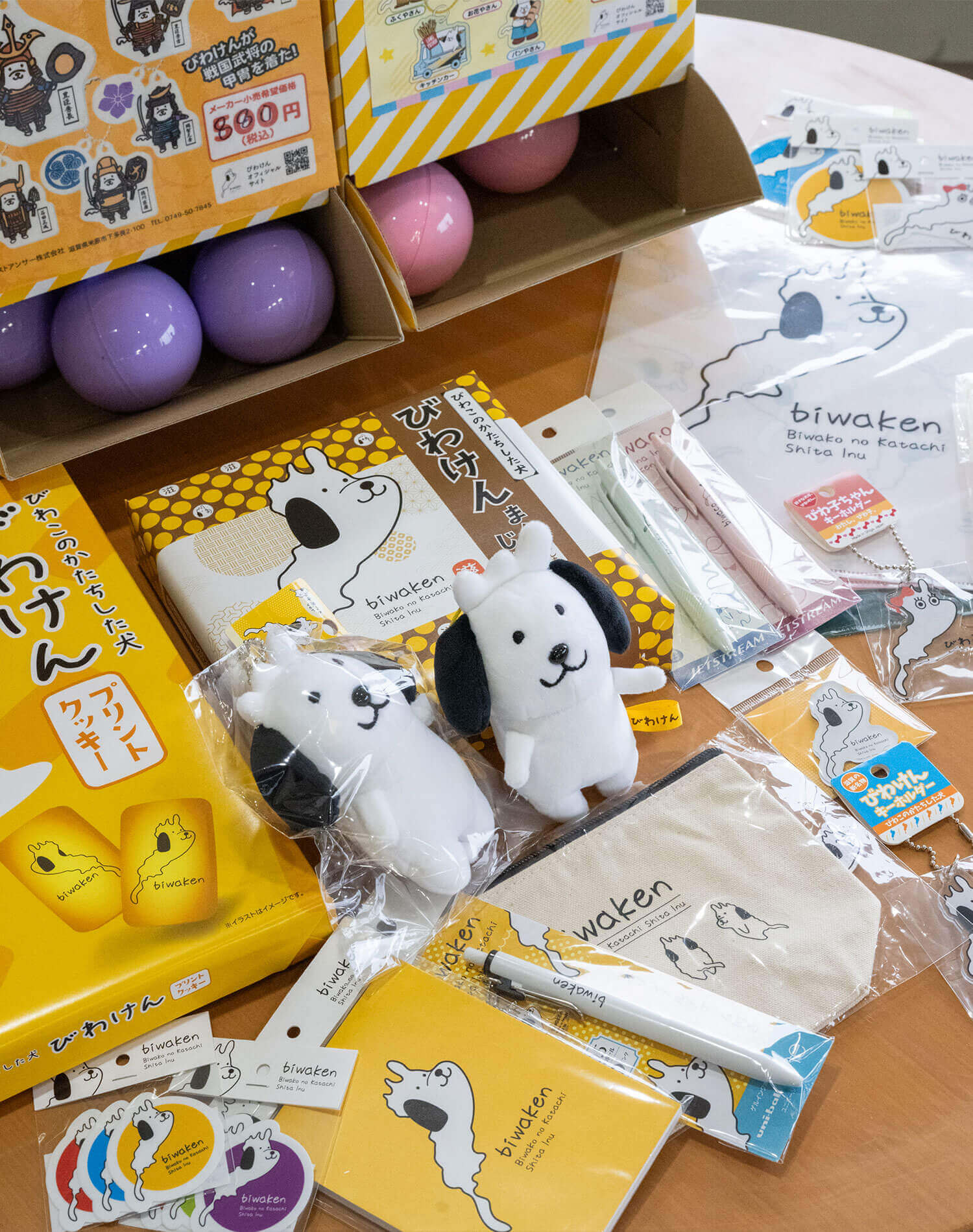 様々なびわけんグッズ