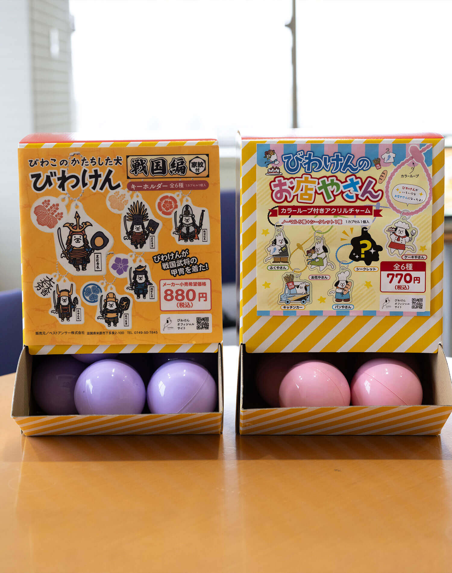 様々なびわけんグッズ