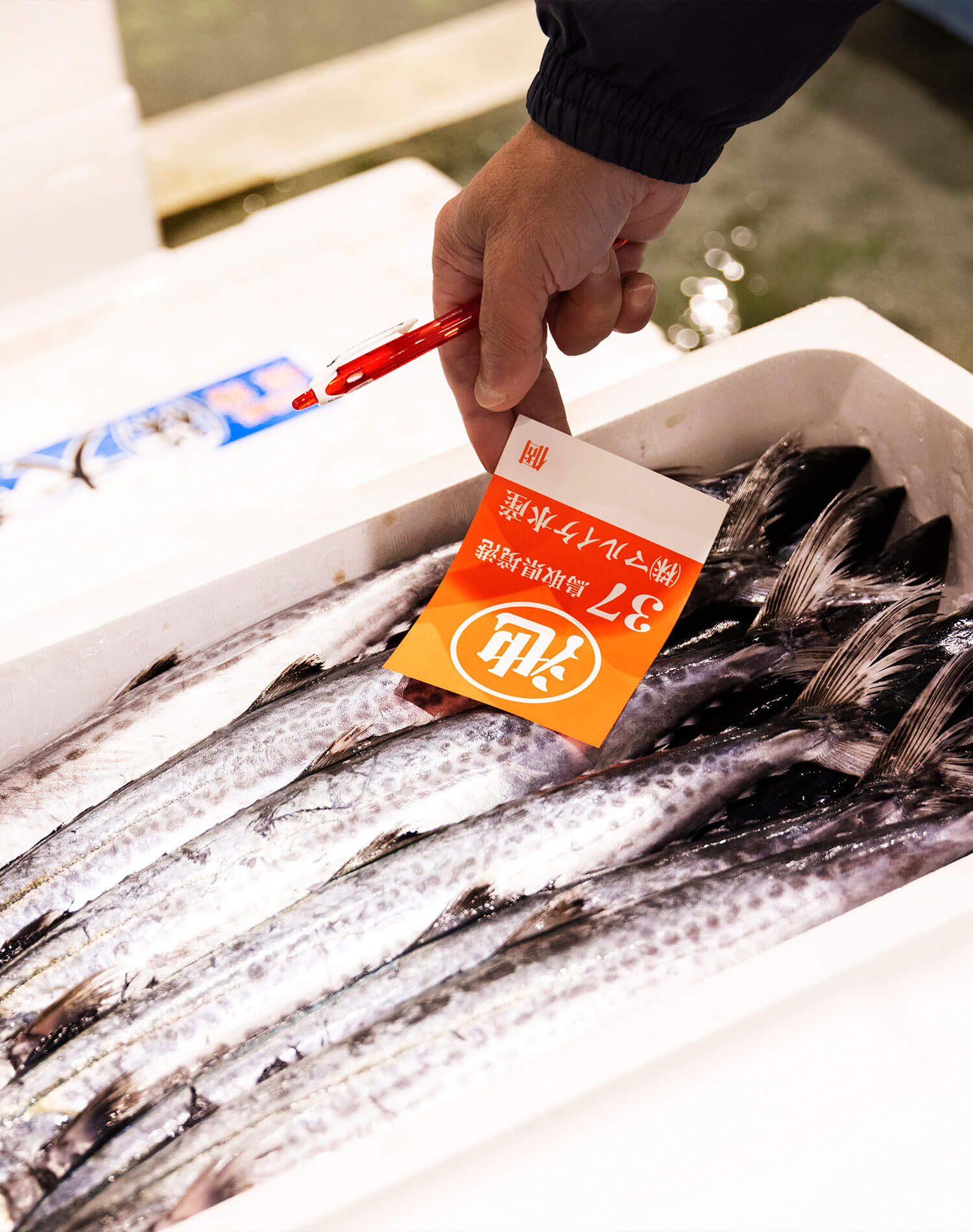 境港水産物地方卸売市場の魚