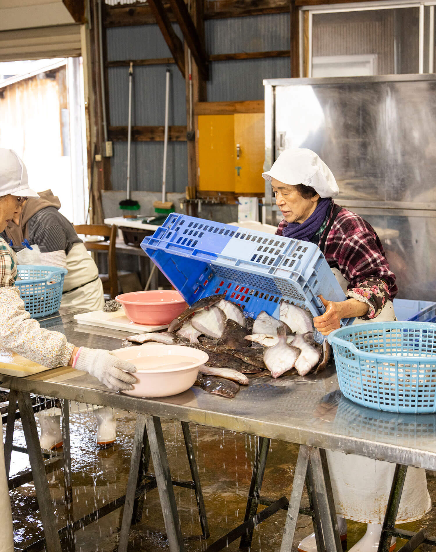 干物にする下準備