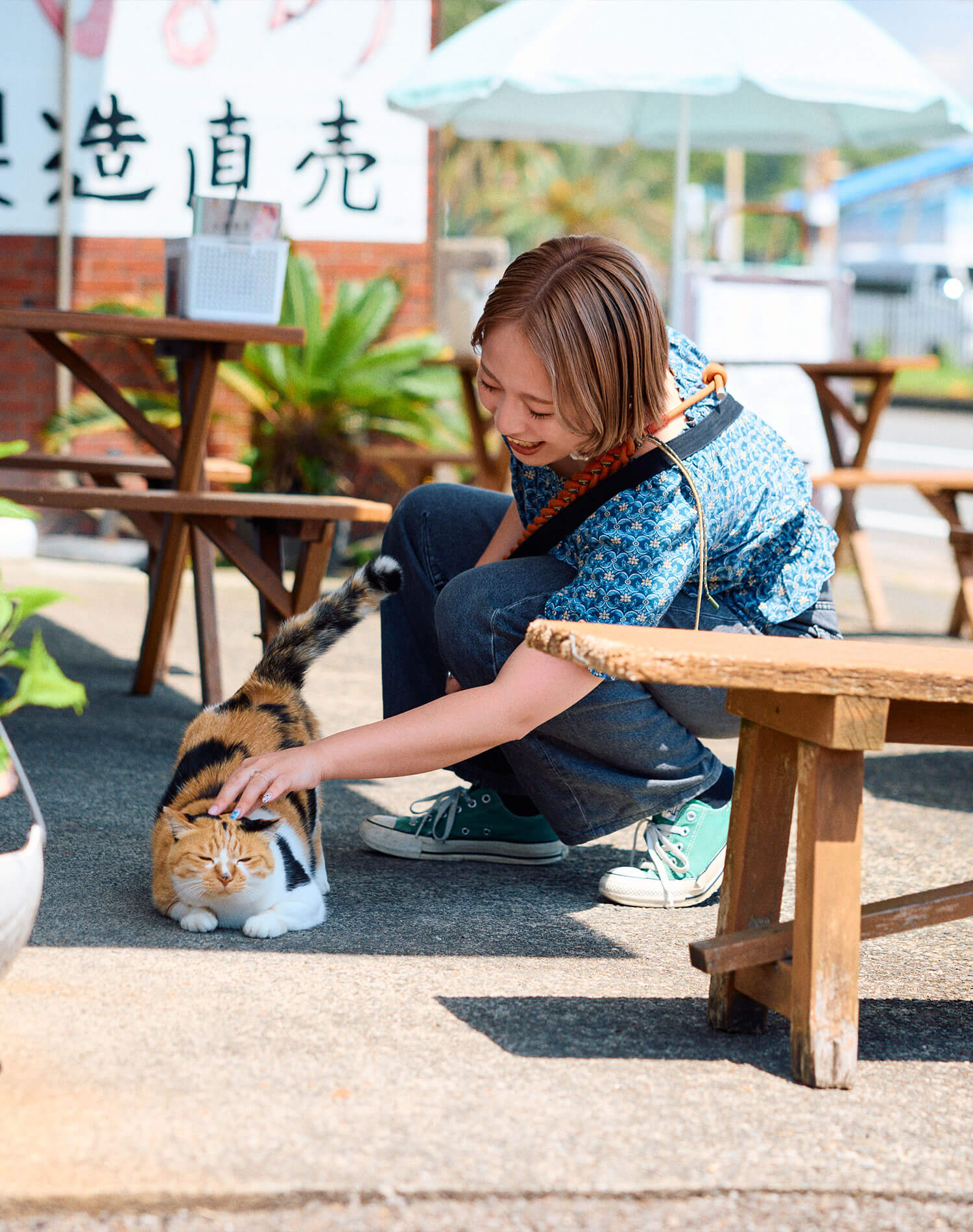 お店の猫ちゃん